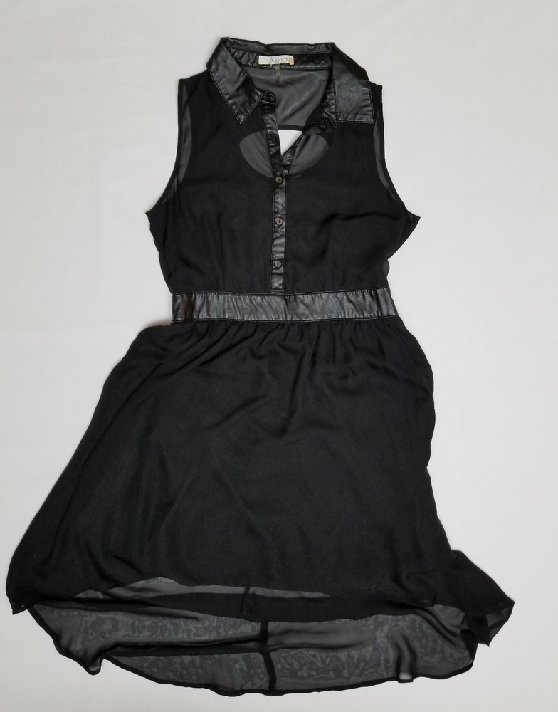 Freebird dress.